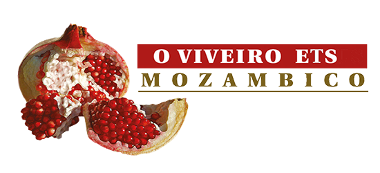 LOW logo New 550x250 White2